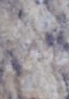 giallo ornamental