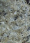 new venetian gold
