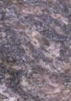 orion