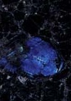 volga blue